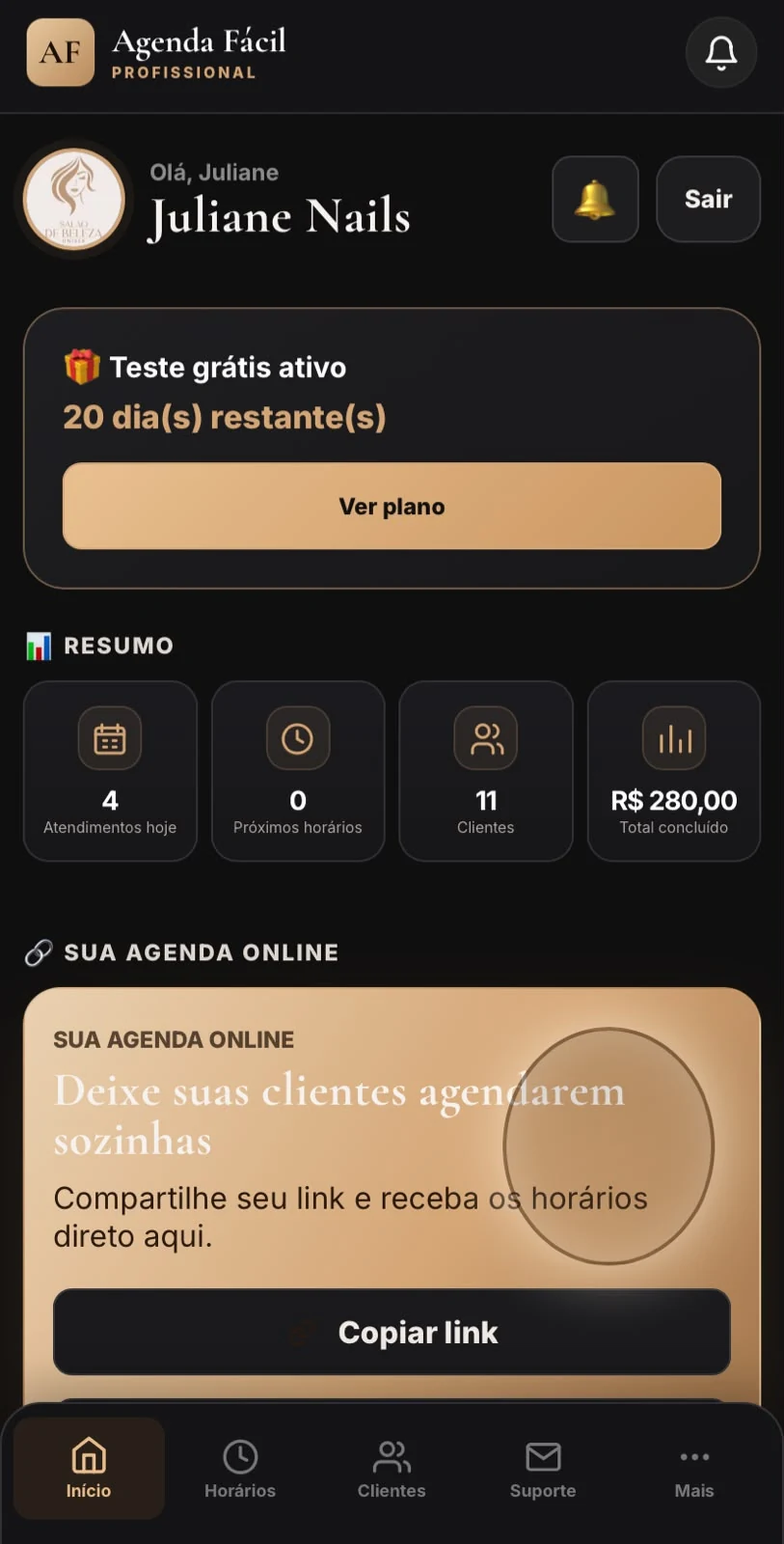 Tela real e completa do painel profissional do Agenda Fácil
